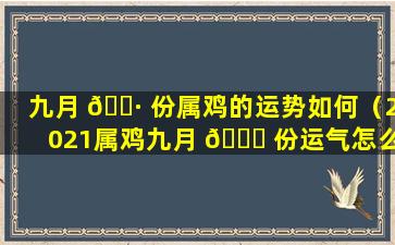 九月 🌷 份属鸡的运势如何（2021属鸡九月 🐝 份运气怎么样）